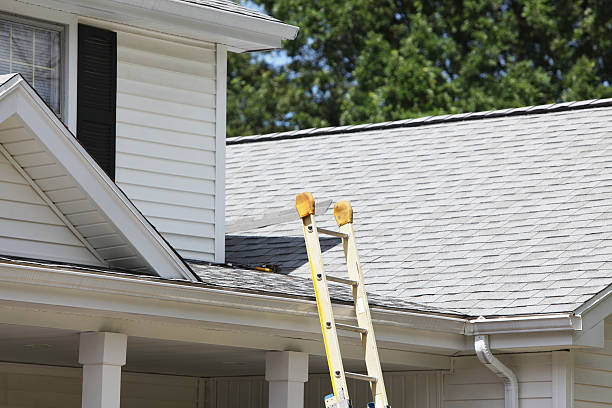 Best Shed Removal  in Elkridge, MD